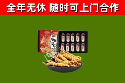 秭归县烟酒回收冬虫夏草礼盒.jpg